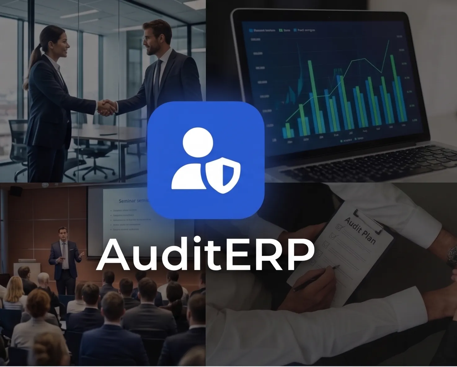 Audit ERP
