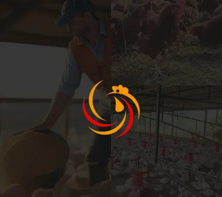 POULTRYCAREAI